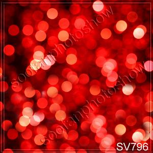 8'x8' sv796B22